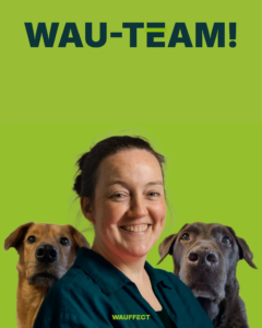 Profilbild vom WAU-TEAM bestehend aus 2 Hunden und Wiebke Wiegmann herzlich lachend in petrol farbener Bluse mit limetten farbenem Hintergrund